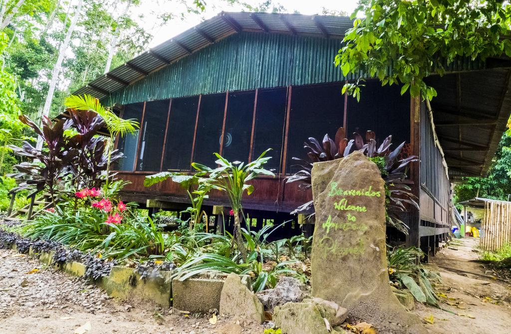 Amazon Planet Hotel Tambopata Exterior photo